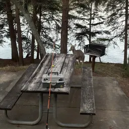 Recensisci la foto 2