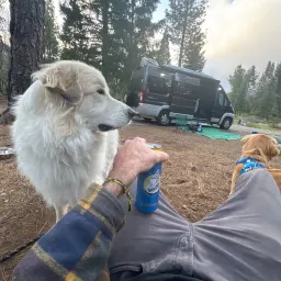 Recensisci la foto 1