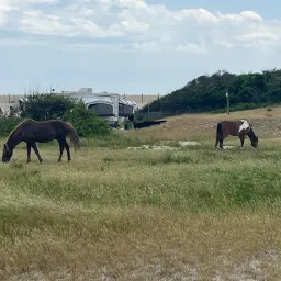 Recensisci la foto 1