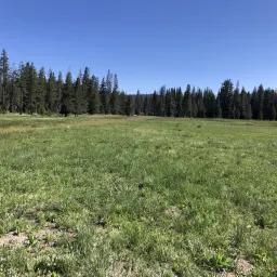 Commenter la photo 3