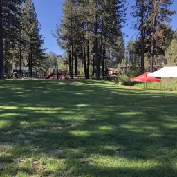 Commenter la photo 5