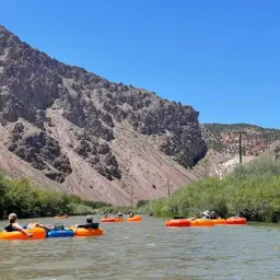 Commenter la photo 2