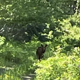 Foto de la valoración 11