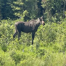 Foto de la valoración 6