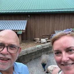 Commenter la photo 1