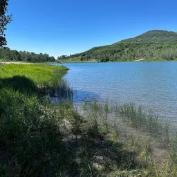 Commenter la photo 1