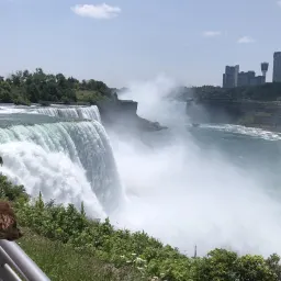 Commenter la photo 5