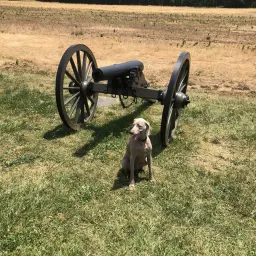 Commenter la photo 9