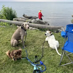 Commenter la photo 6