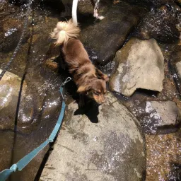 Commenter la photo 11