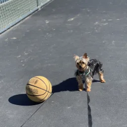 Foto de la valoración 5