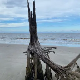 Recensisci la foto 2