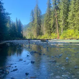 Commenter la photo 4