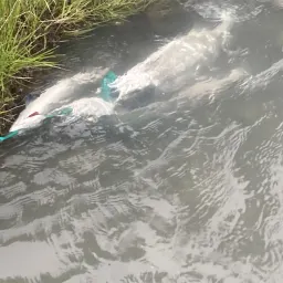 Foto de la valoración 6