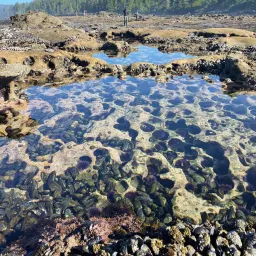 Commenter la photo 3