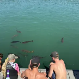 Commenter la photo 2