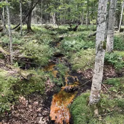 Commenter la photo 4