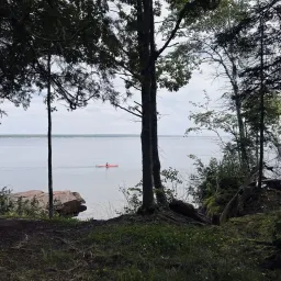 Commenter la photo 3