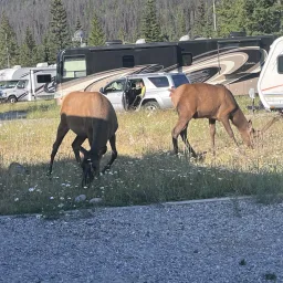 Foto de la valoración 2