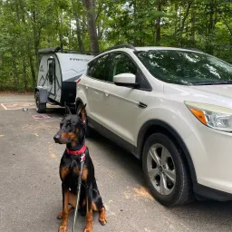 Commenter la photo 1