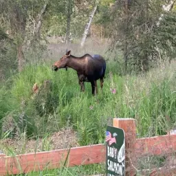 Recensisci la foto 1