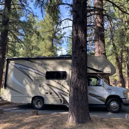 Commenter la photo 1