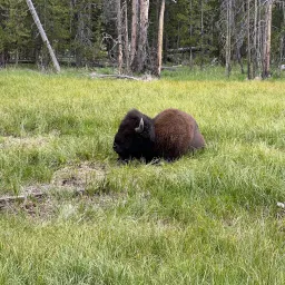 Commenter la photo 5