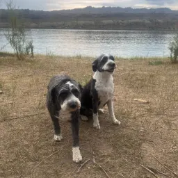 Recensisci la foto 1