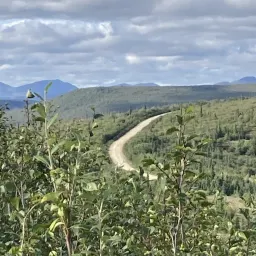 Commenter la photo 7