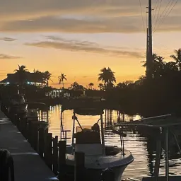 Commenter la photo 2