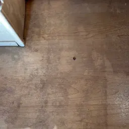 Recensisci la foto 11