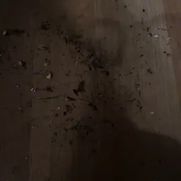 Recensisci la foto 12