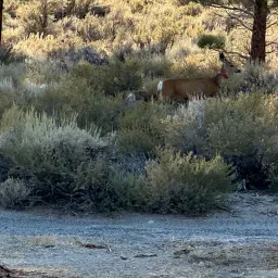 Commenter la photo 4