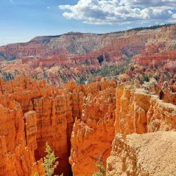 Commenter la photo 2