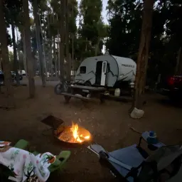 Commenter la photo 1