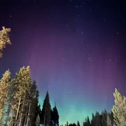 Recensisci la foto 2