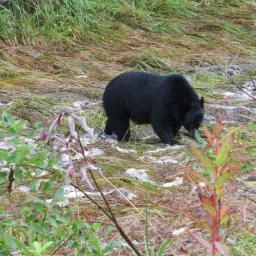 Commenter la photo 5