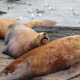 Commenter la photo 6