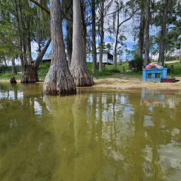 Recensisci la foto 1