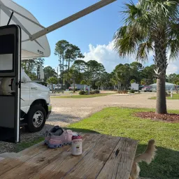 Commenter la photo 7