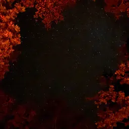 Recensisci la foto 2