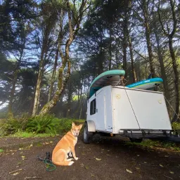 Commenter la photo 1