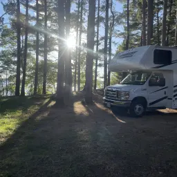 Commenter la photo 1