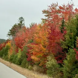 Commenter la photo 5