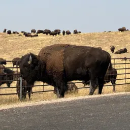 Recensisci la foto 4