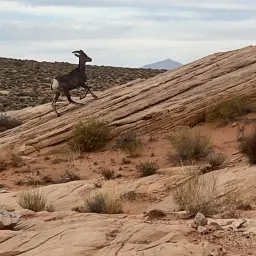 Foto de la valoración 7