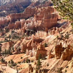 Foto de la valoración 11