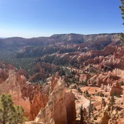 Foto de la valoración 16