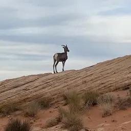 Foto de la valoración 8