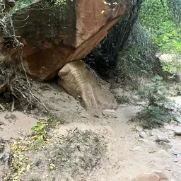 Foto de la valoración 22